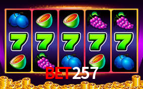 Interface Premium bet257